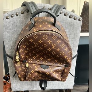 Louis Vuitton Palm Springs MM Backpack